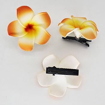 Amazon | 8個 ハイビスカス 髪飾り 花 プルメリア ヘアクリップ